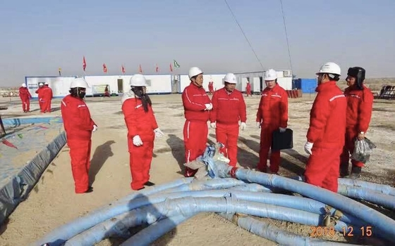 API 7K 1500 PSI 2000 PSI Rotary Drilling Hose Vibrator Hose
