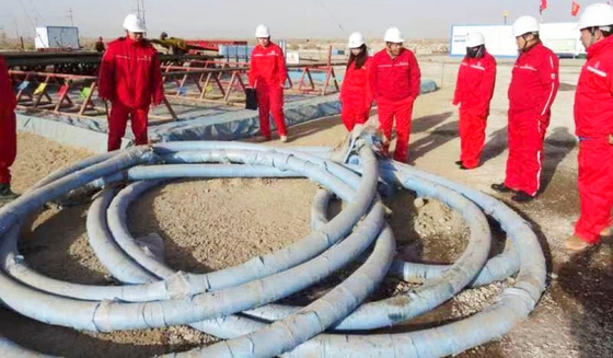 Temp Class Oil Well Drilling Hose Fire Resistant Nominal Diameter 8mm-400mm with Hexagon Head Code